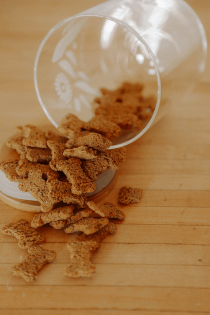 Bulk Treats - Superfood Dog Treat | Jar Refills