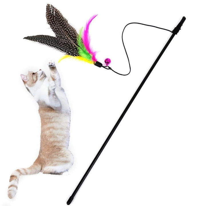 Spot Feather Dangler Teaser Wand Cat Toy Multi-Color 18 in