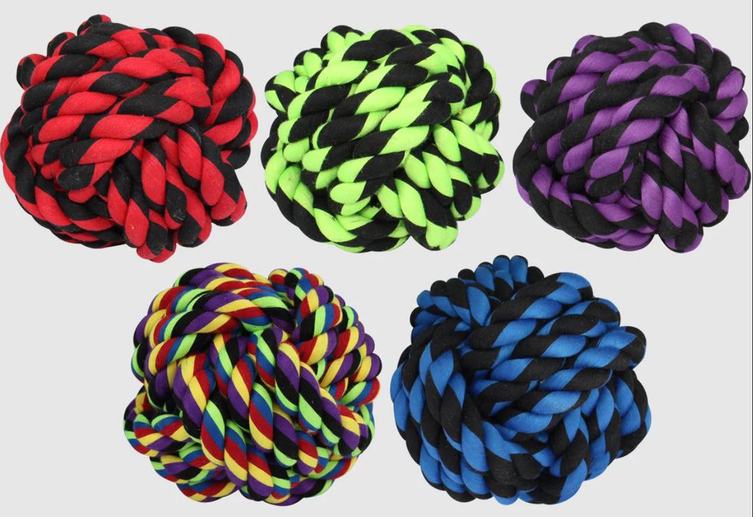 Multipet Nuts For Knots Dog toy Assorted 1ea/4 in