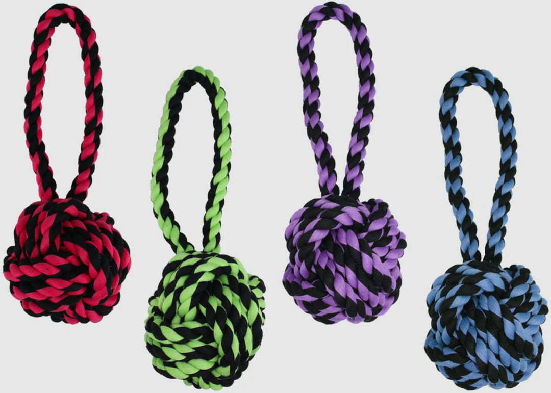 Multipet Nuts For Knots with Tug Toy Assorted 1ea/4 in