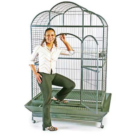Beautiful view of Baby Macaw Cage Ventilation Systems