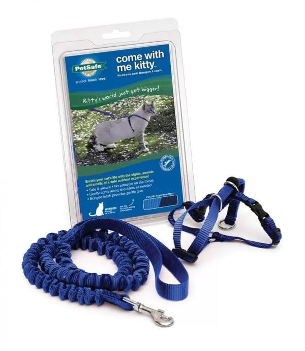 PetSafe Premier Come With Me Kitty Harness & Bungee Leash Combo Royal Blue/Navy 1ea/SM