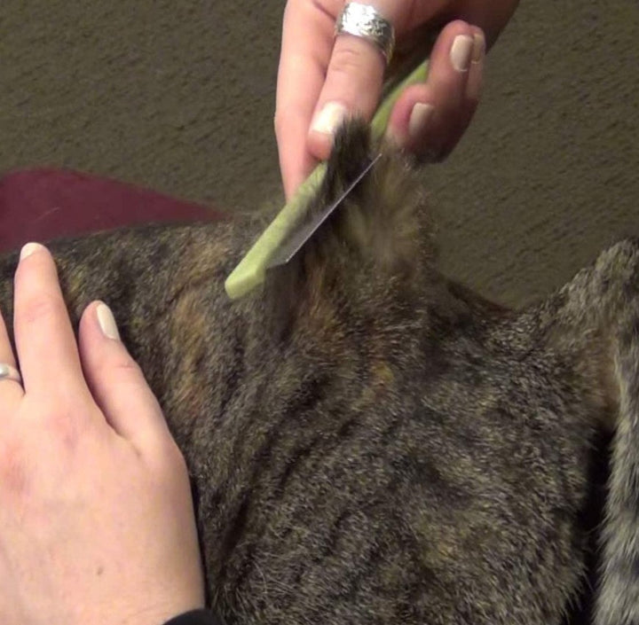 Safari Cat Flea Comb with Extended Handle