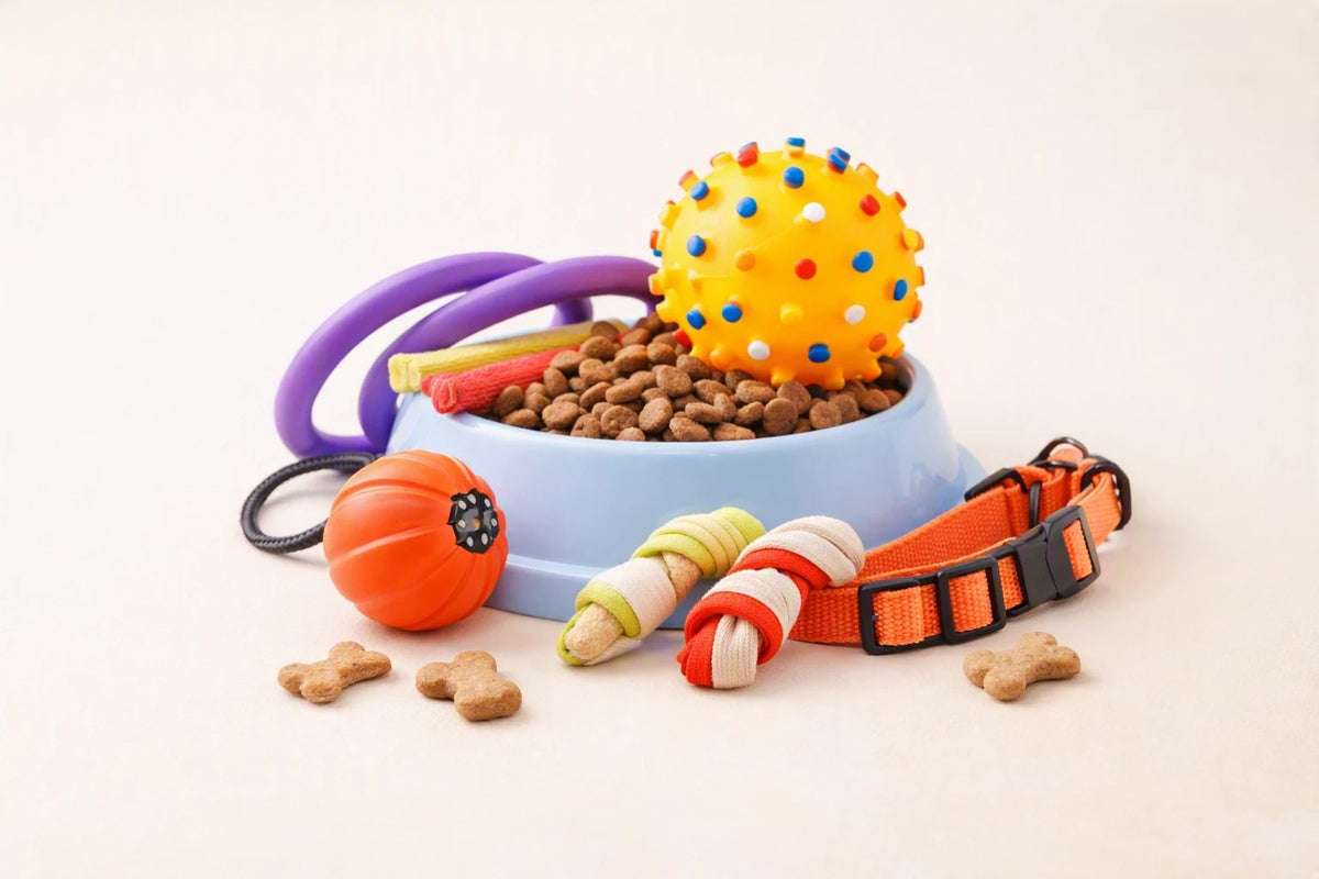 A pet food bowl surrounded by dog toys, treats and an orange collar