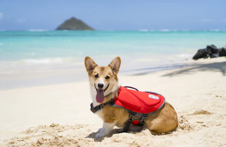 Outward Hound Dawson Swimmer Life Jacket for Dogs