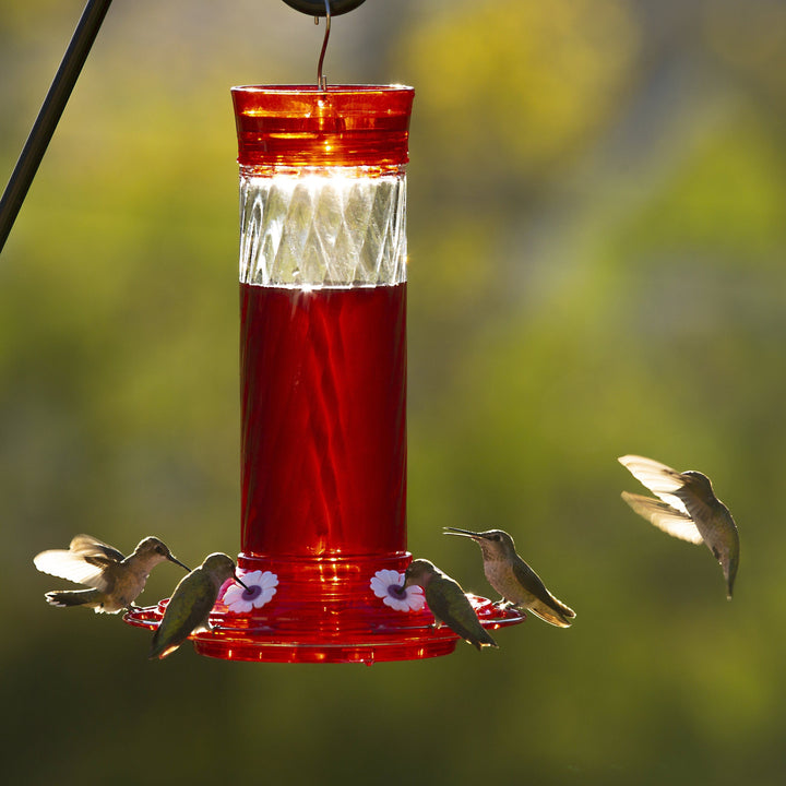 More Birds Diamiond Glass Hummingbird Feeder - 30 oz capacity