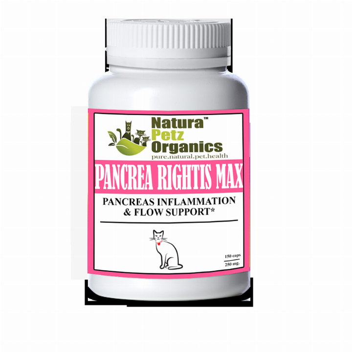 Pancrea Rightis Max Support* Capsules Pancreas Inflammation & Flow Support Dogs Cats*