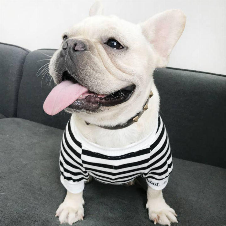 Stripe Style - Matching Pet and Owner Clothing Set