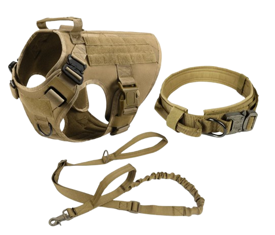 Collars, Leashes  & Harnesses