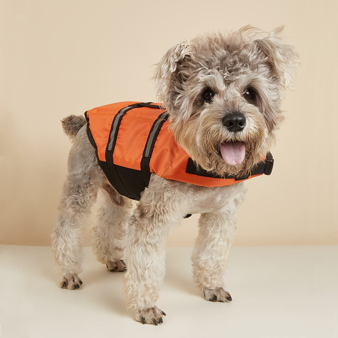 Pet Vest