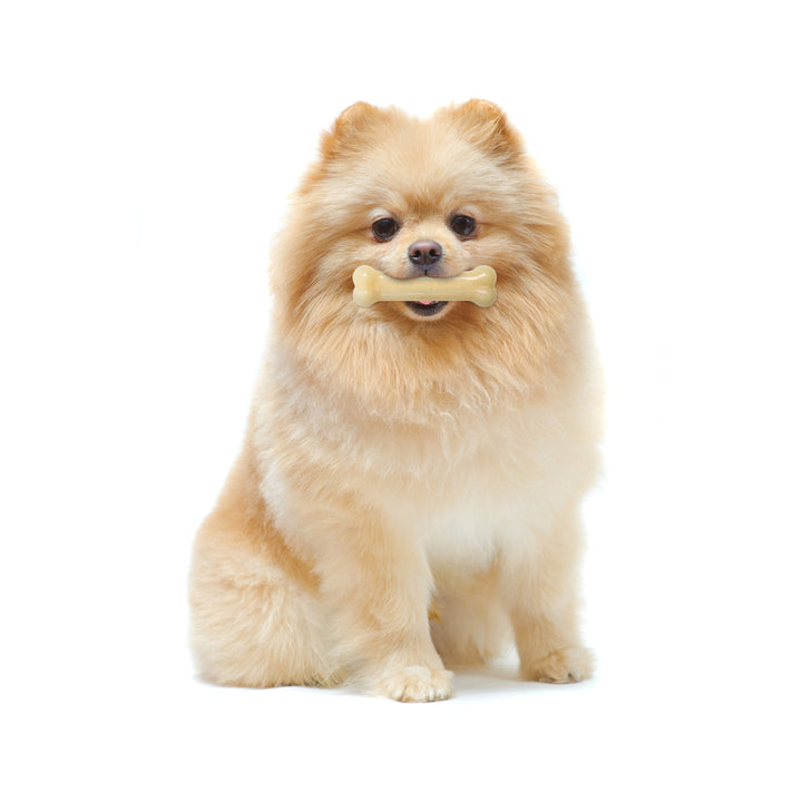 Nylabone Power Chew Dog Toy Original, 1ea/XS/Petite  Up To 15 Lbs. 1 ct