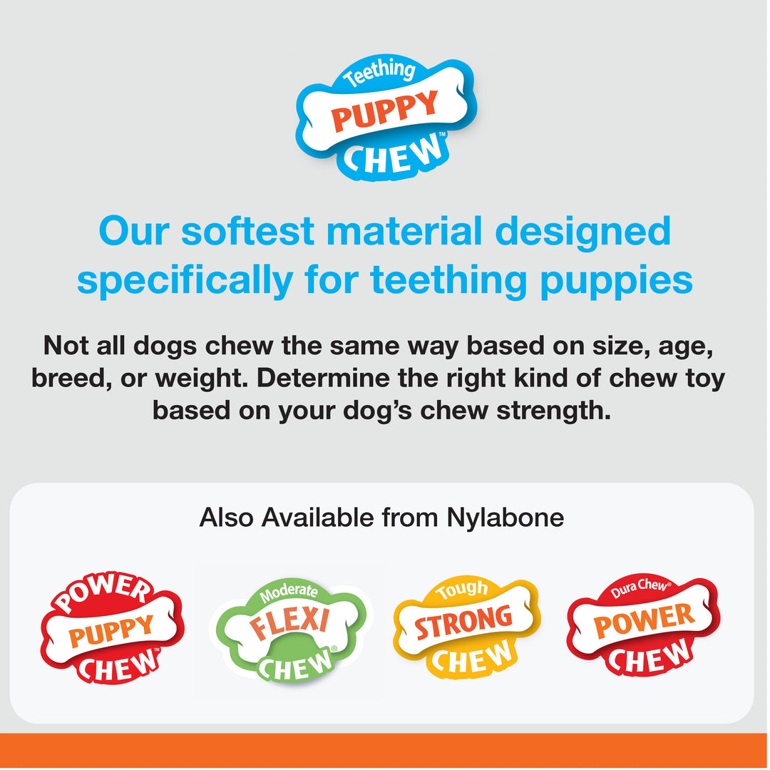 Nylabone Just for Puppies Teething Chew Classic Bone Chicken, 1ea/Medium/Wolf  Up To 35 Lbs. 1 ct