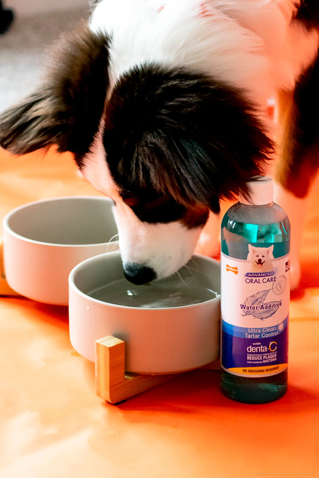 Nylabone Advanced Oral Care Water Additive for Dogs Original, 1ea/16 oz 1 ct