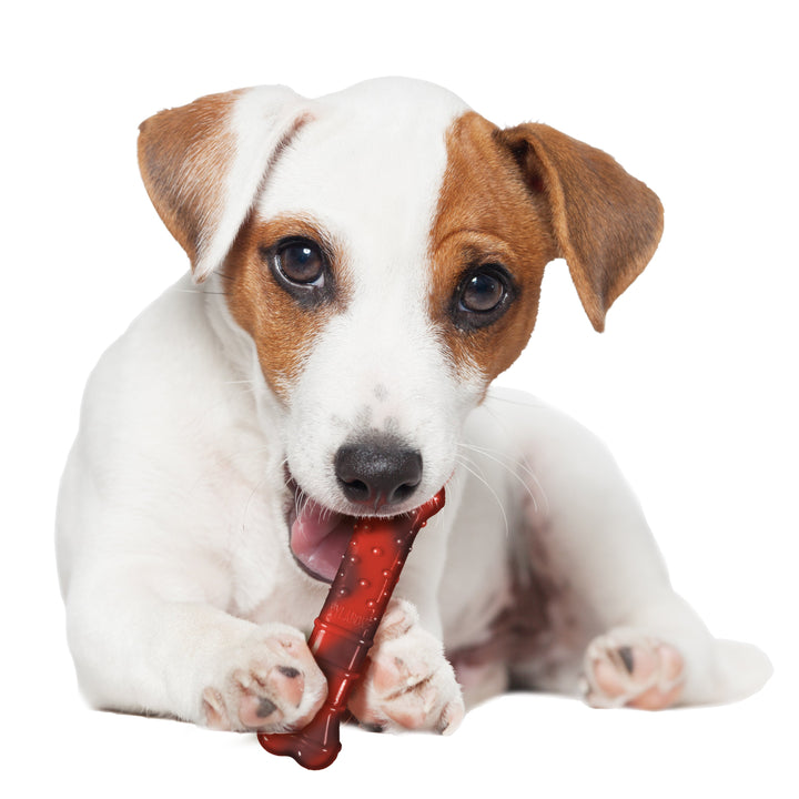 Nylabone Flavor Frenzy Power Chew Durable Dog Chew Toy Beef Jerky 1ea/SMall/Regular - Up To 25 Ibs.