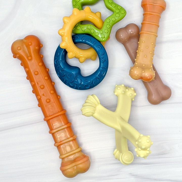 Nylabone Axis Bone Nylon Puppy Chew Toy 1ea/SMall/Regular - Up To 25 Ibs.