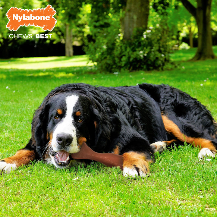 Nylabone Power Chew Knuckle Bone BIG Dog Chew Toy Bacon 1ea/XXL/Monster - 50++ lb