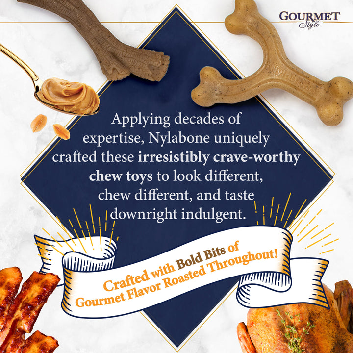 Nylabone Gourmet Style Strong Wishbone Dog Chew Toy Bacon 1ea/SMall/Regular - Up To 25 Ibs.