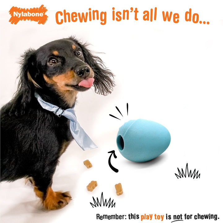 Nylabone Creative Play Eggi Dog Treat Toy Blue 1ea/Large/Giant - Up To 50 lb