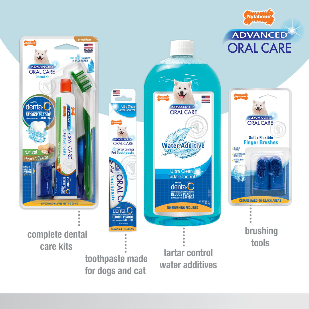 Nylabone Advanced Oral Care Senior Dog Dental Kit with Cushiony Soft-Bristle Toothbrush Bacon 1ea