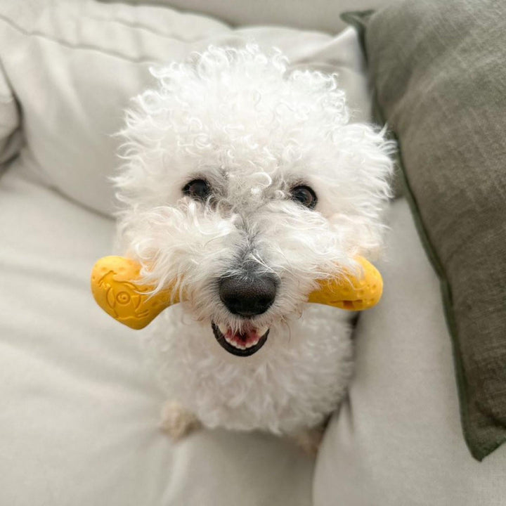 Tall Tails Dog Goat Bone Yellow 6 Inch Default Title