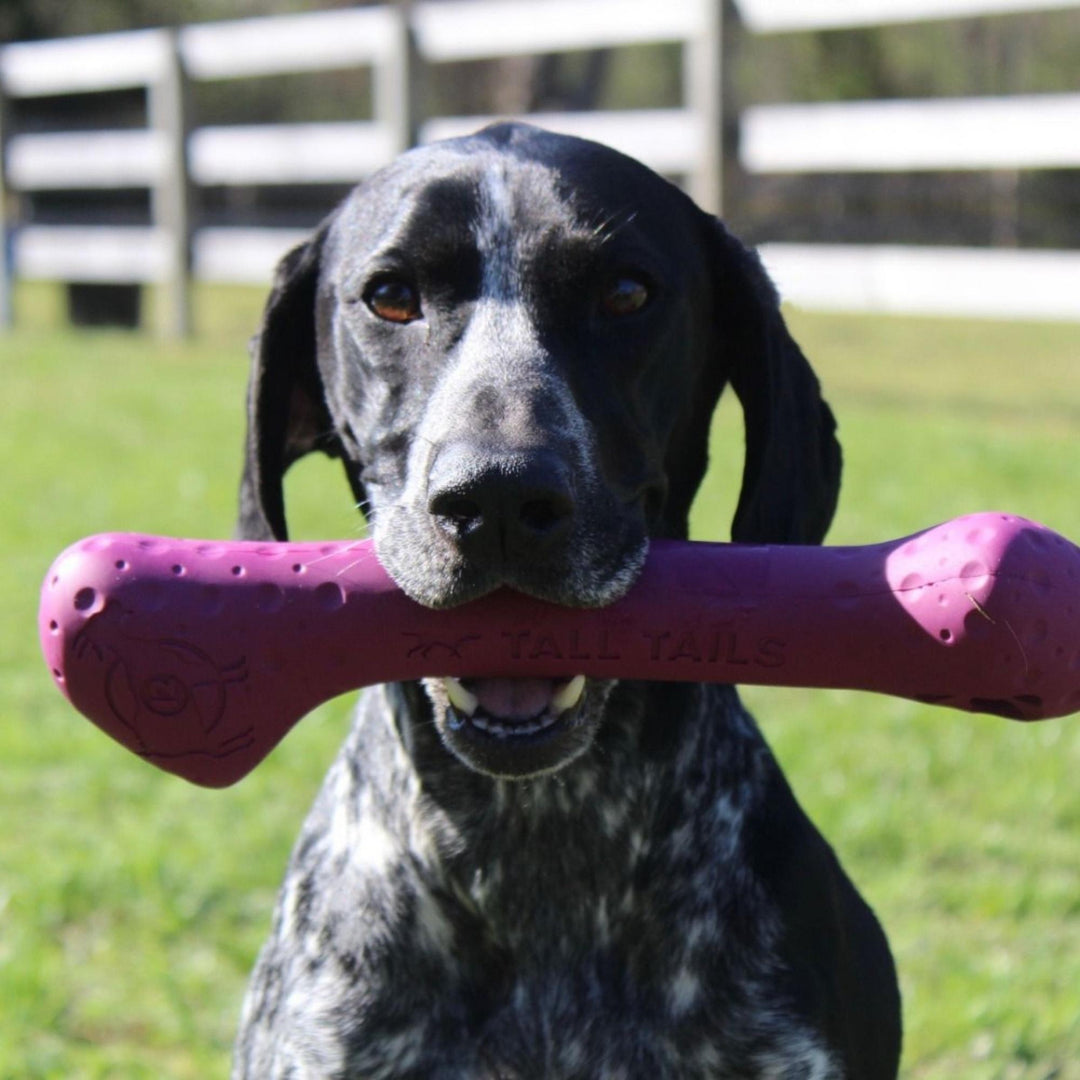Tall Tails Dog Goat Bone Purple 12 Inch Default Title