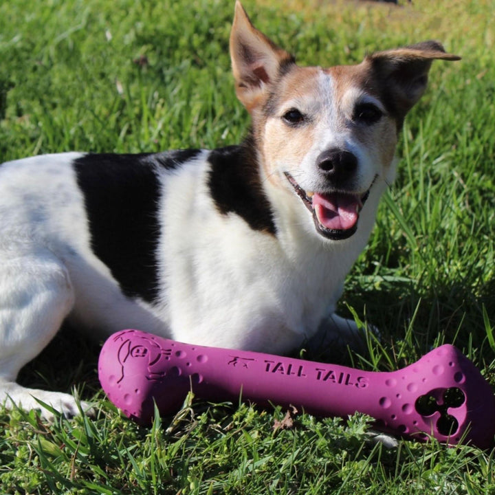 Tall Tails Dog Goat Bone Purple 12 Inch Default Title