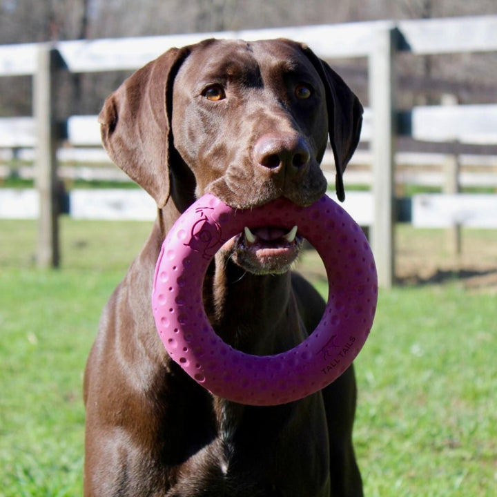 Tall Tails Dog Goat Ring Purple 7 Inch Default Title