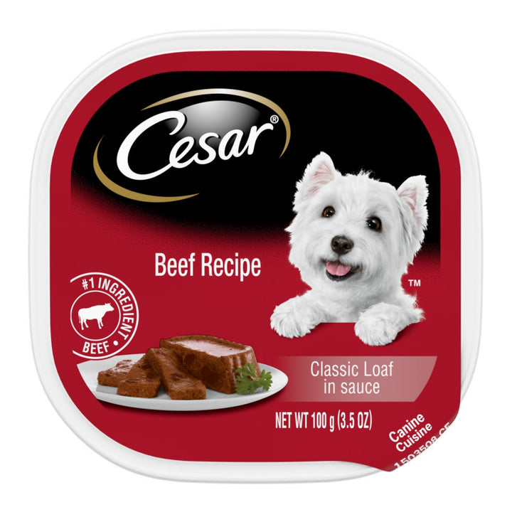 Cesar Classic Loaf in Sauce Adult Wet Dog Food Beef 3.5oz 24pk