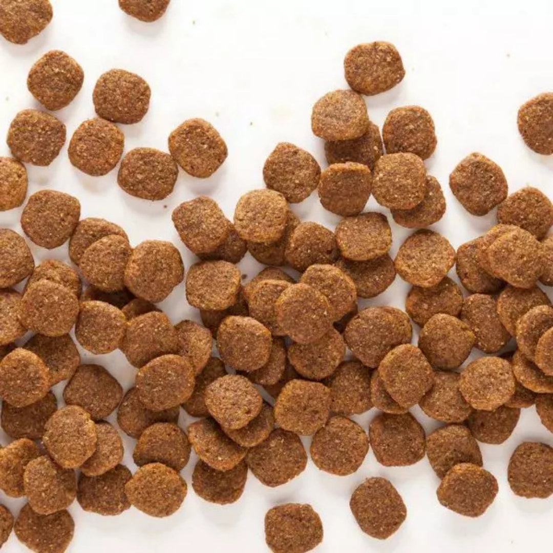 Wholesomes Grain Free Dry Dog Food Chicken Meal & Potatoes 35lb