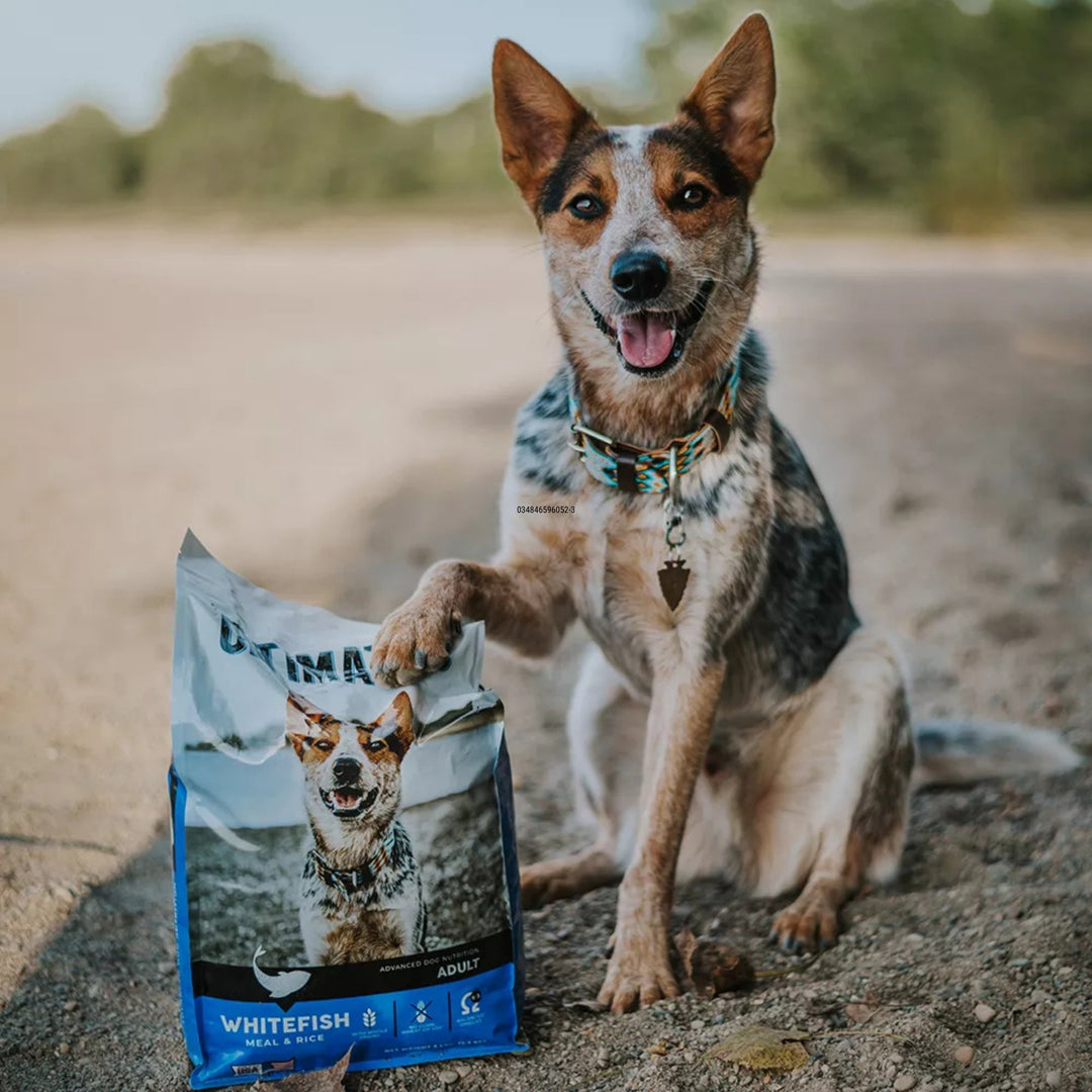 Ultimates Dry Dog Food Whitefish Meal & Rice 5lb