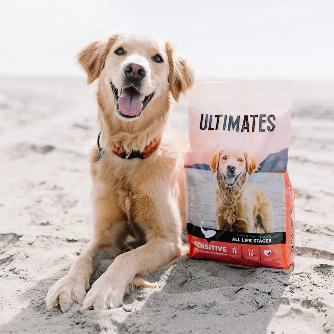Ultimates Sensitive Dry Dog Food Salmon 28lb
