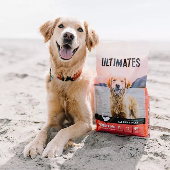 Ultimates Sensitive Dry Dog Food Salmon 28lb