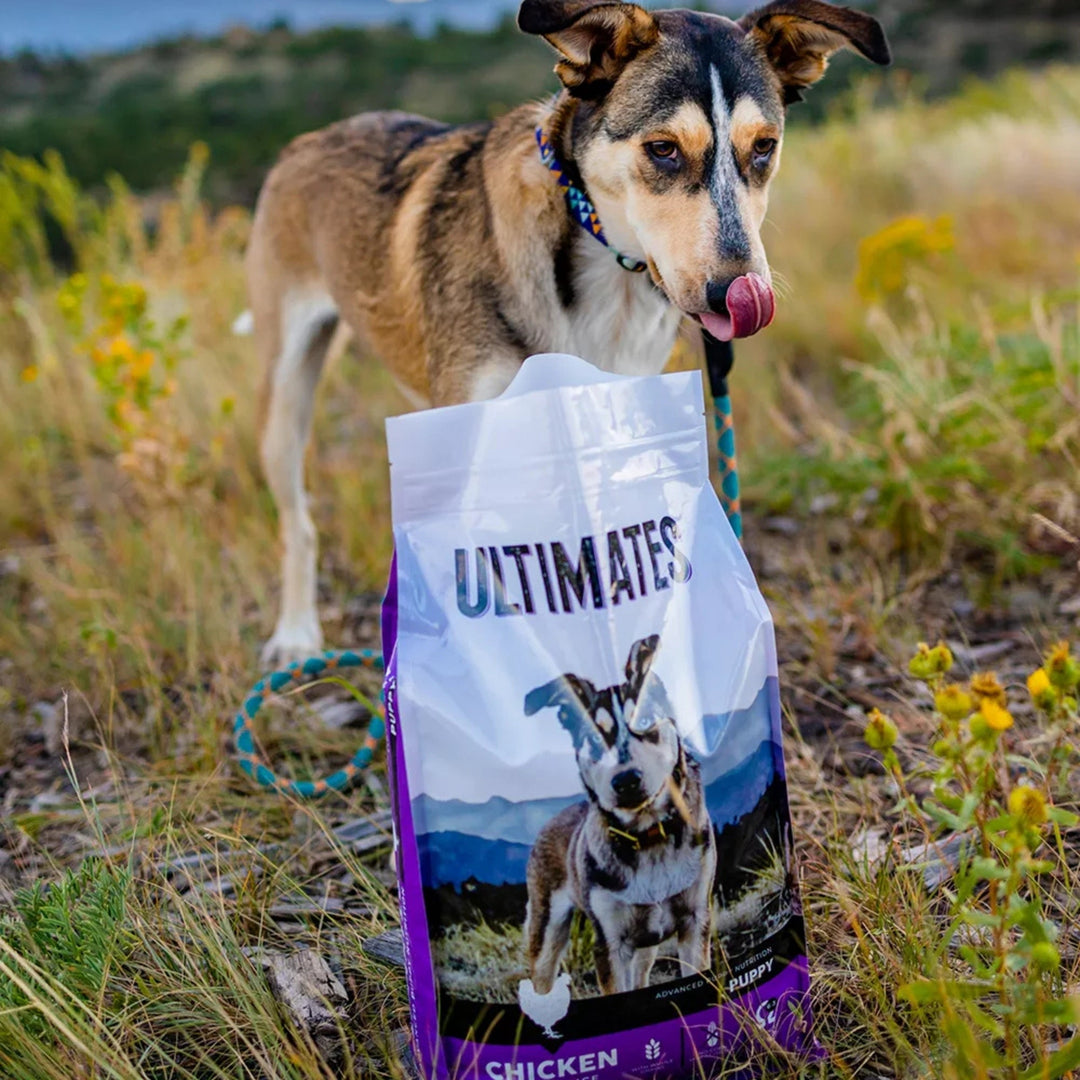 Ultimates Puppy Dry Dog Food Chicken Meal & Rice 28lb