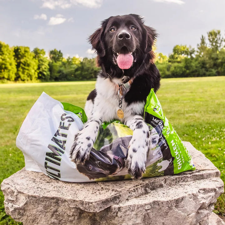 Ultimates Large Breed Puppy Dry Dog Food Chicken Meal & Rice 28lb