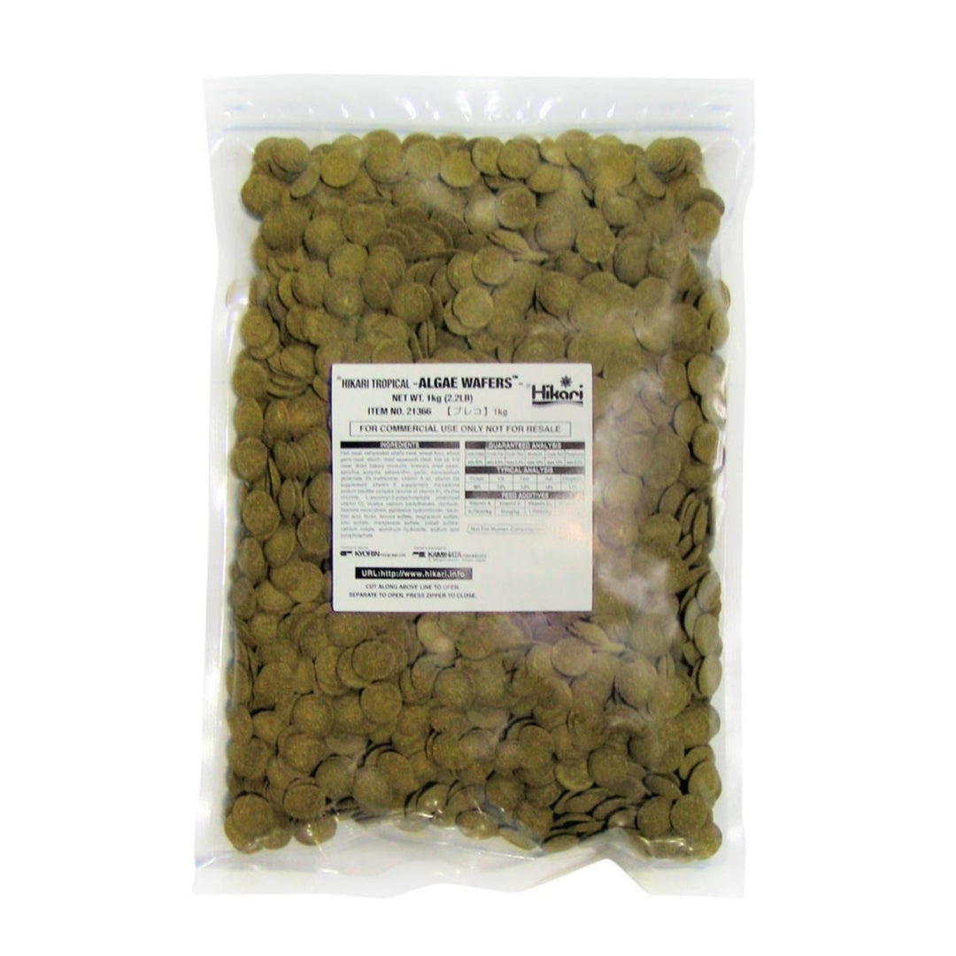 Hikari USA Algae Wafers Rapidly Sinking Wafer Fish Food 1ea/2.2 lb