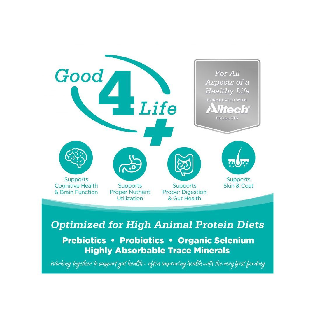 NutriSource Element Series Grain Free Dry Cat Food Classic Catch 4lb