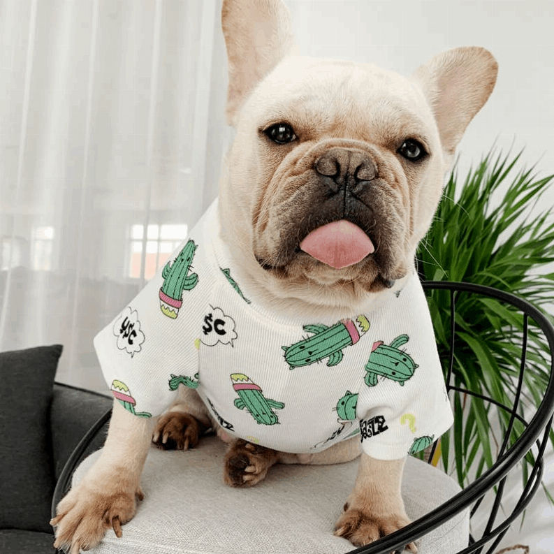 Green Dinosaur - Matching Pet and Owner Clothing Set-