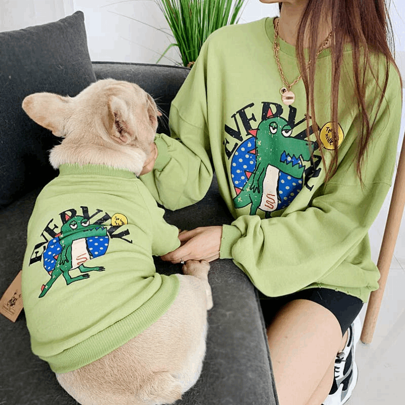 Everyday Dinosaur - Matching Pet and Owner Clothing Set-Green-SMALL-1