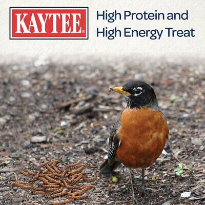 Kaytee Mealworms Wild Bird Food - 7 oz