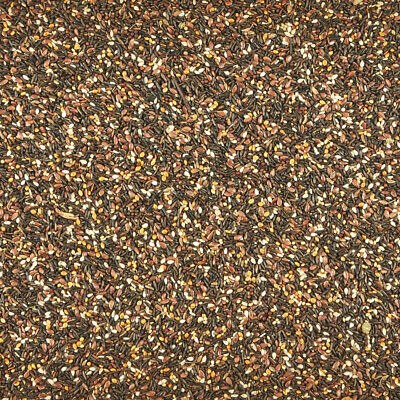 Kaytee Songbird Treat Jar  Canary  Finch 1ea/9 oz