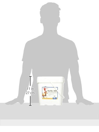 Vita Flex Ultra Pure Joint Supplement for Dogs, Horses &amp; Cats, 10 Pounds – MSM Supplement, Equine MSM Powder for Healthy Joints, Collagen &amp; Mobility Support, Odorless White Powder