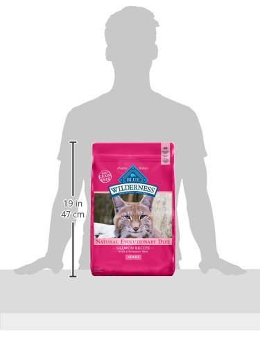 Blue Buffalo Wilderness Salmon Adult Dry Cat Food, Grain-Free, 11 lb