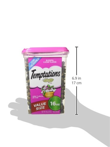 Temptations Classic Crunchy Cat Treats, Blissful Catnip, 16 oz