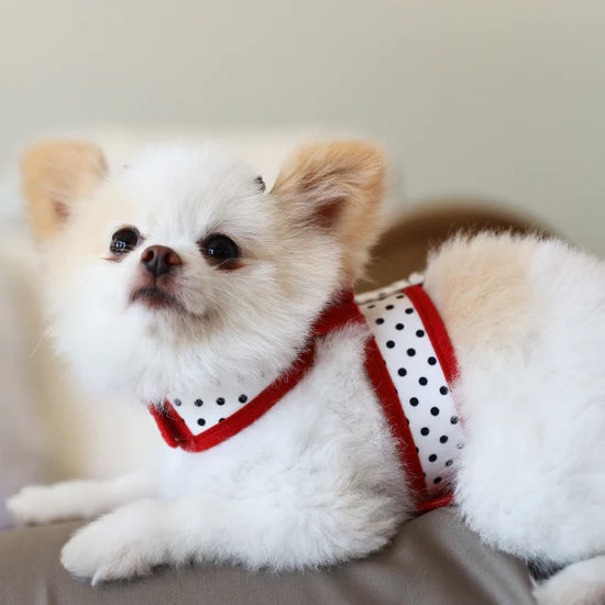 Red Big Bow Tinkie Harness with Red Trim-