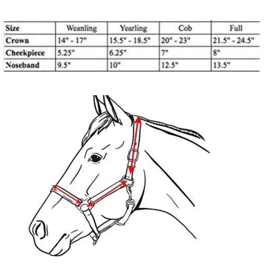 Derby Originals Triple-Stitched Leather Horse Halter – Premium Double-Layer Design with Brass Hardware – No Throat Snap for Safety, Classic Track Style – One-Year Warranty