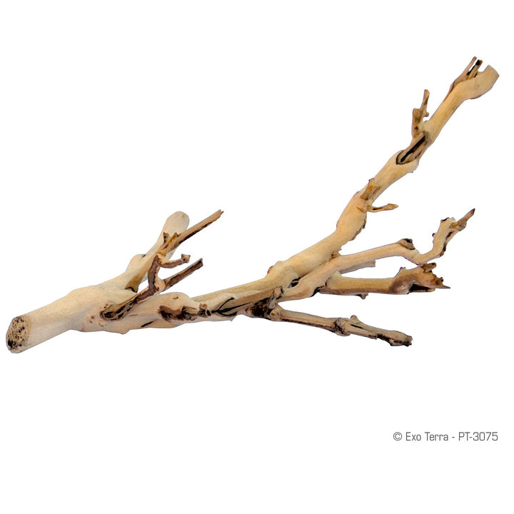 Exo Terra Forest Branch Small - Natural Wood Terrarium Decoration