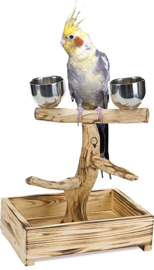Penn-Plax Bird-Life Natural Wood Bird Perch Tree, Stainless Cups, Medium