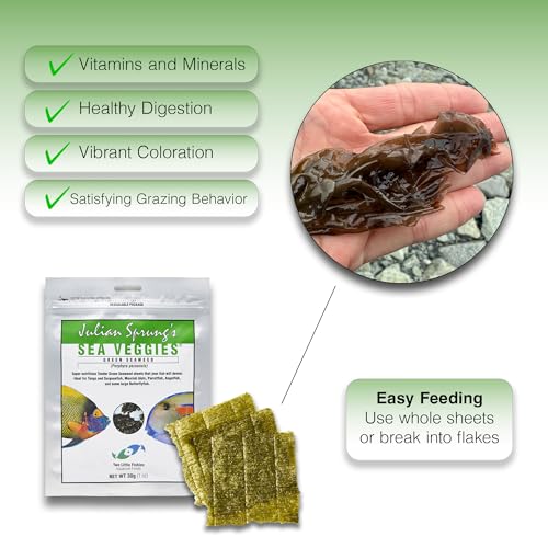 Two Little Fishies Atlsvgs4 Sea Veg-Green Seaweed, 1 Oz (Pack of 2)