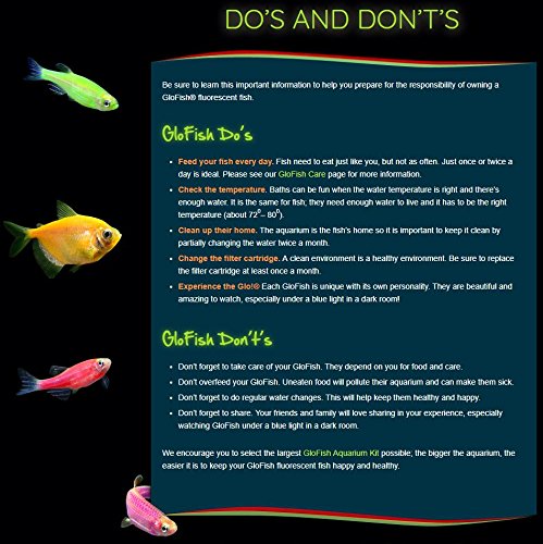 GloFish Aquarium Gravel, Pink, Green &amp; Blue Mix, 5 lbs
