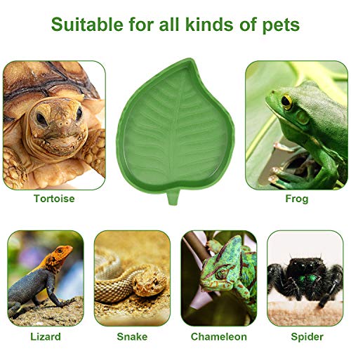 Boao 2 Pieces Leaf Reptile Food Water Bowl Plate Feeding Dish for Tortoise